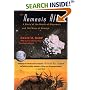 The Nemesis Affair: A Story of the Death of Dinosaurs and the Ways of Science
