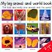 2 Books in 1: My Big Animal and World Book