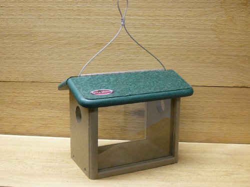 Kettle Moraine Recycled Bluebird Feeder