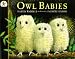 Book Owl Babies