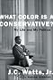 What Color is a Conservative?