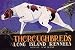 Art Poster, Thoroughbreds - Long Island Kennels - 27.5 x 18.75