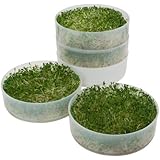 VICTORIO VKP1014 Four-Tray Kitchen Crop TM  Sprouter