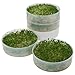 VICTORIO VKP1014 Four-Tray Kitchen Crop TM Sprouter