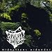 MES ALBUMS PREFERES - PART 2