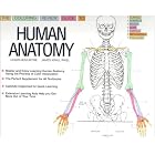 The Coloring Review Guide To Human Anatomy by  W. Hogin McMurtrie and James E. Rikel