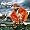 Stillmatic