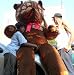 MASSIVE 8 FEET TALL GIANT TEDDY BEAR BIG STUFFED ANIMAL PLUSH JUMBO - COLOR: UNIQUE BROWN AND ORANGE - AMERICAN MADE IN THE USA AMERICA