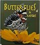 Butterflies and Moths (Crabapples)