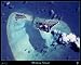 Midway Island space shuttle/satellite map: 30"x24"
