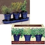 French Herb Garden Trio with Organic Soil Pellets
