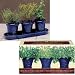 French Herb Garden Trio with Organic Soil Pellets