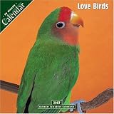 Love Birds 2007 Wall Calendar