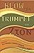 Blow the Trumpet in Zion!: Global Vision and Action for the 21st Century Black Church