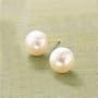 14k Yellow Gold 10.5-11mm White Button Pearl Earring