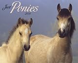 Just Ponies Calendar