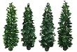 Four Pre-potted 5' Pothos/ivy Climb/split Philo/sellinium Plants in Plastic Pot