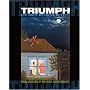 Triumph Of Our Communities: Four Decades Of Mexican American Art