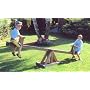 Active Outdoor Toys - Traditional See-Saw