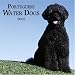 Portuguese Water Dogs 2006 Wall Calendar
