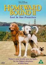 Homeward Bound 2 - Lost In San Francisco [DVD] [1995]
