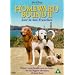 Homeward Bound 2: Lost in San Francisco [DVD]