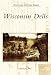 Wisconsin Dells (WI) (Postcard History Series)