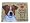 Jack Russell