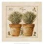Herbes de Provence, Thym Art Poster Print by Pascal Cessou, 13x13