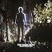 Never Follow Suit [VINYL]