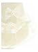 WonderfulDress Lace Cuff Socks for Flower Girl-Ivory-5 to 6 YRS