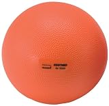 ダンノ(DANNO) ヘビーメディシン5kg D5475