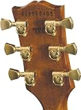 Gibson Les Paul Supreme