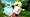 Naruto Ultimate Ninja: Storm