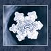 Hidden Messages in Water 2012 Wall Calendar