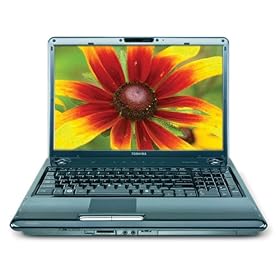 Toshiba Satellite P305-S8822 17 Laptop (1.83 GHz Intel Core 2 Duo T5550 Processor, 3 GB... by Toshiba