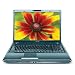 Toshiba Satellite P305-S8822 17