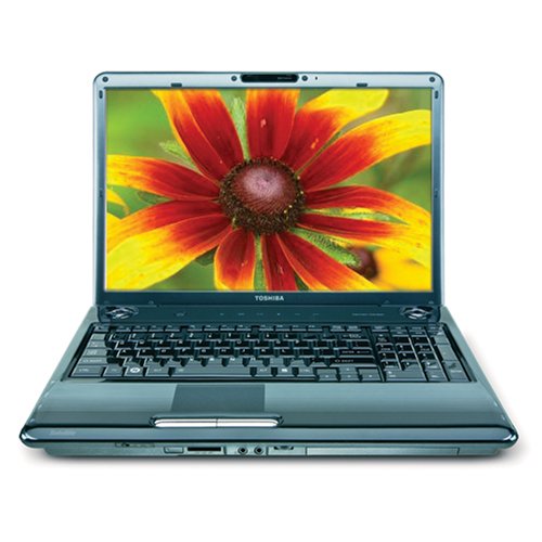 PCHardware: Toshiba Satellite P305 S8822 17