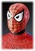 Search : Child Spiderman Mask