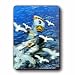 3D Lenticular Magnet - SEAGULLS & BOAT