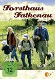 Forsthaus Falkenau - Staffel 11 (Jumbo Amaray - 3 DVDs)