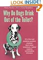 Why Do Dogs Drink Out Of The Toilet?