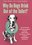 Why Do Dogs Drink Out Of The Toilet?