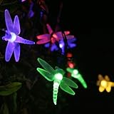 Détails sur le produit