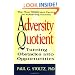 Adversity Quotient: Turning Obstacles into Opportunities