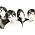 Thumbnail image of My Bloody Valentine