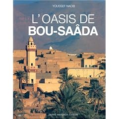 L'oasis de Bou Saada