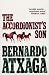The Accordionist's Son