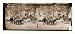 Civil War Photo (M): Bealton Virginia. Army of the Potomac Officers mess of Company D 93d New York Infan