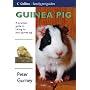 Guinea Pig (Collins Famliy Pet Guides)